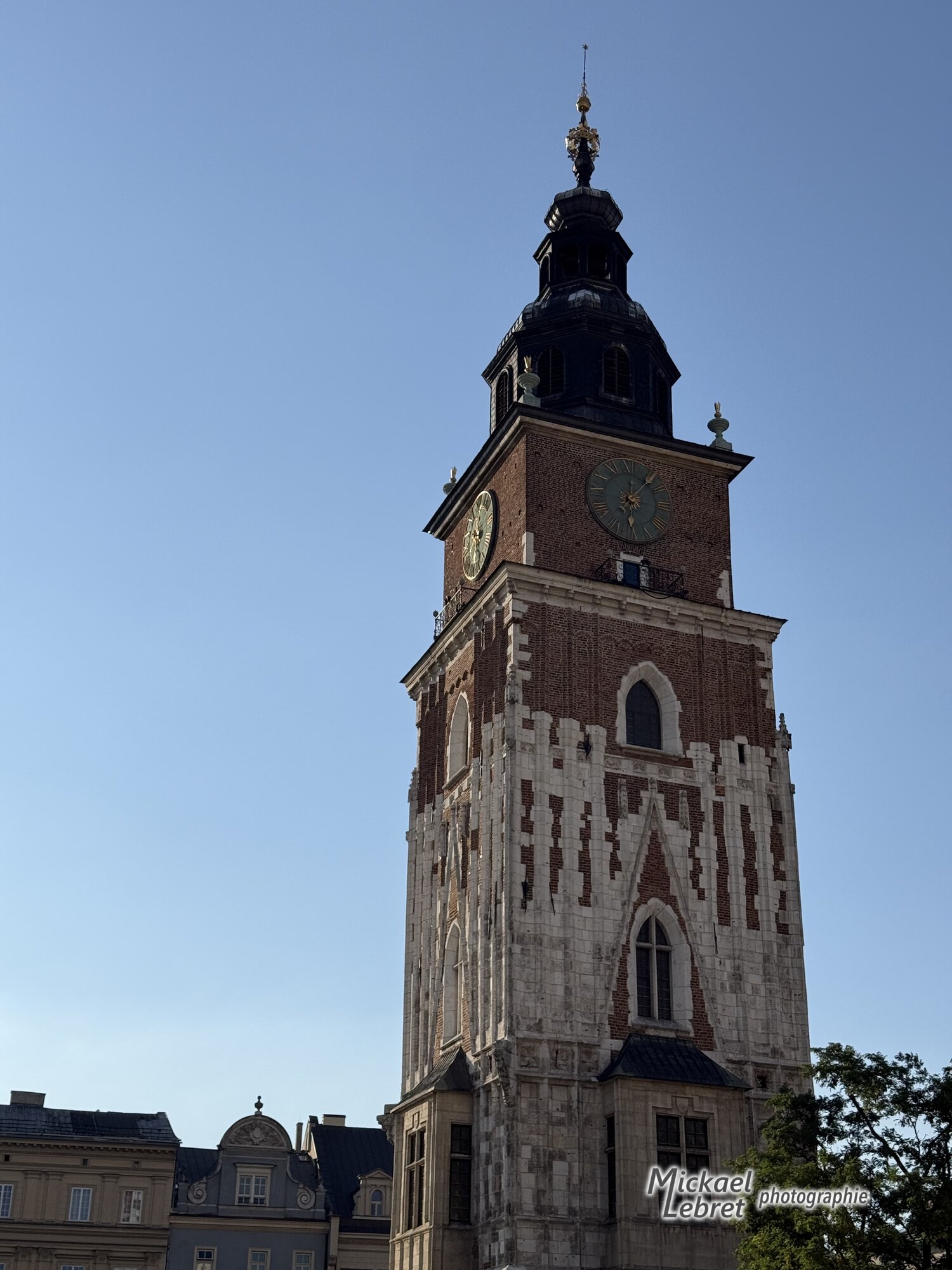 La tour de l'ancien hôtel de ville, seule rescapée
