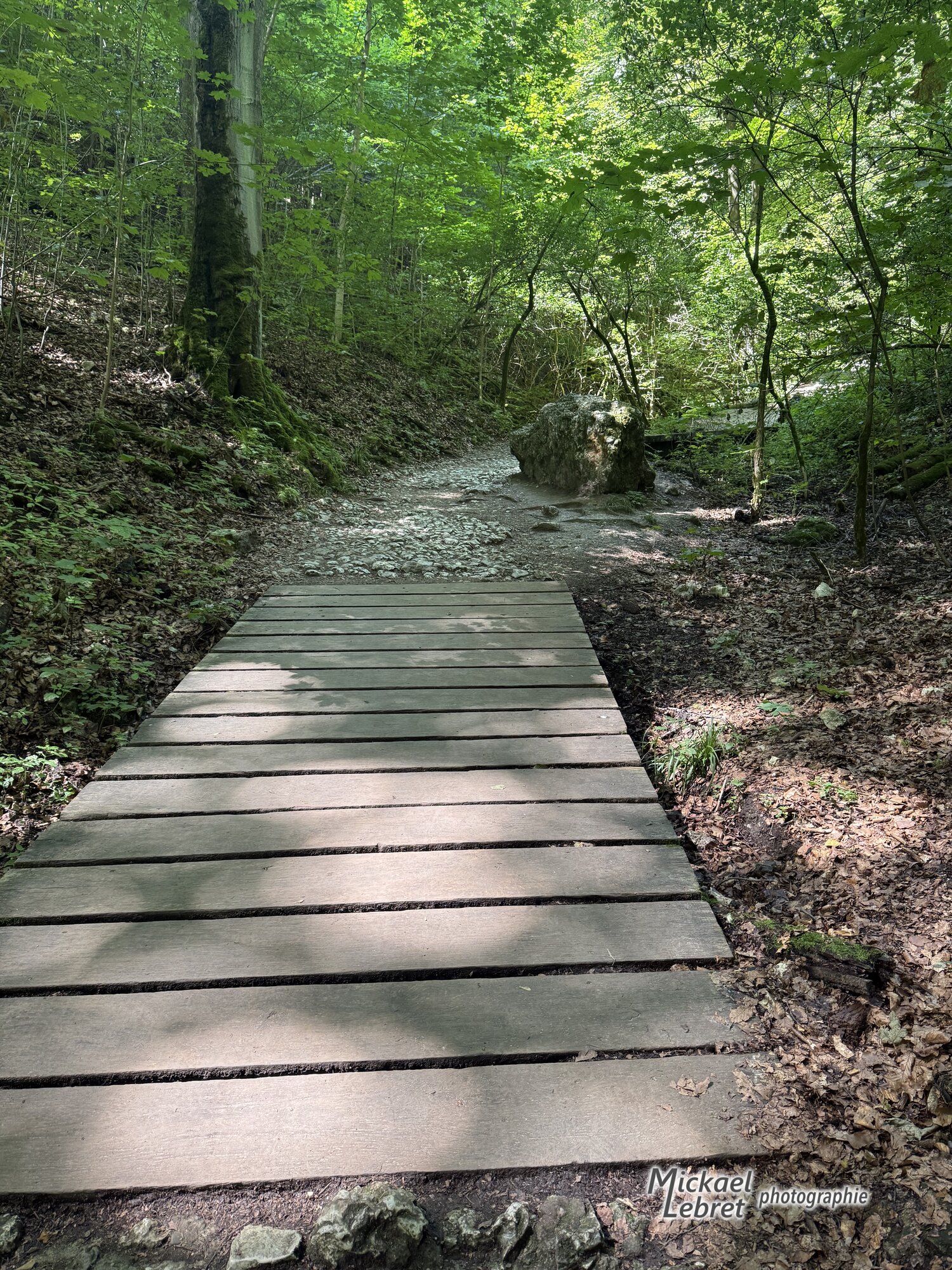 Une des passerelles de planches du vallon