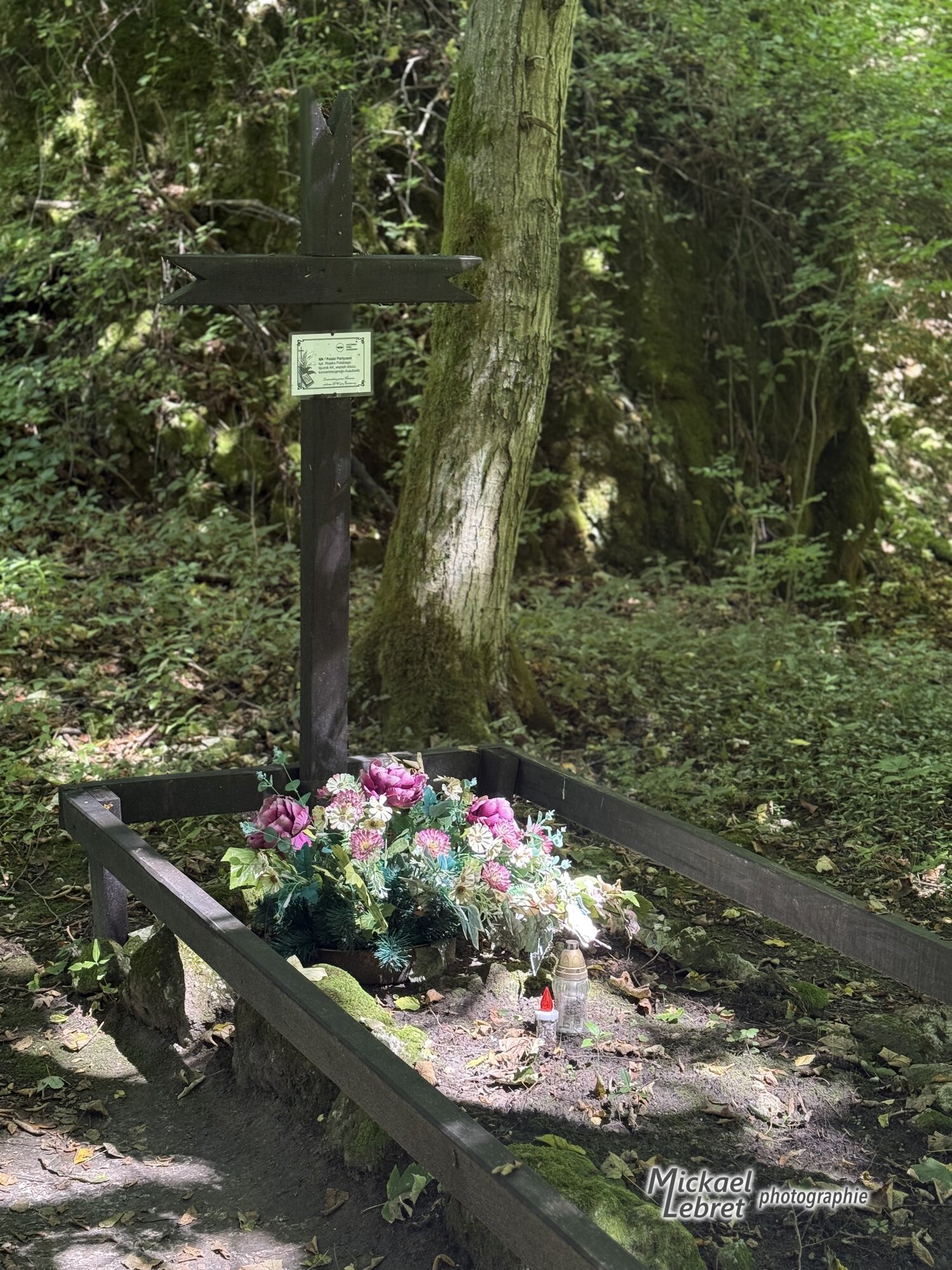 La croix du partisan anonyme, dans la Dolina Sąspowska