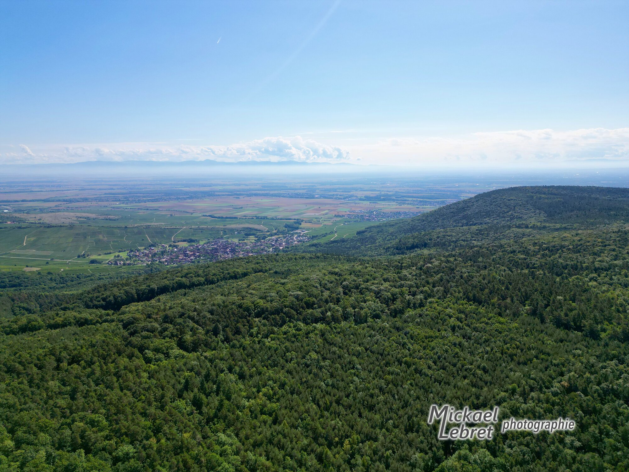 De l'autre côté, la plaine d'Alsace et un village viticole en lisière des vignes, avec Bergholtz-Zell au bord de la forêt