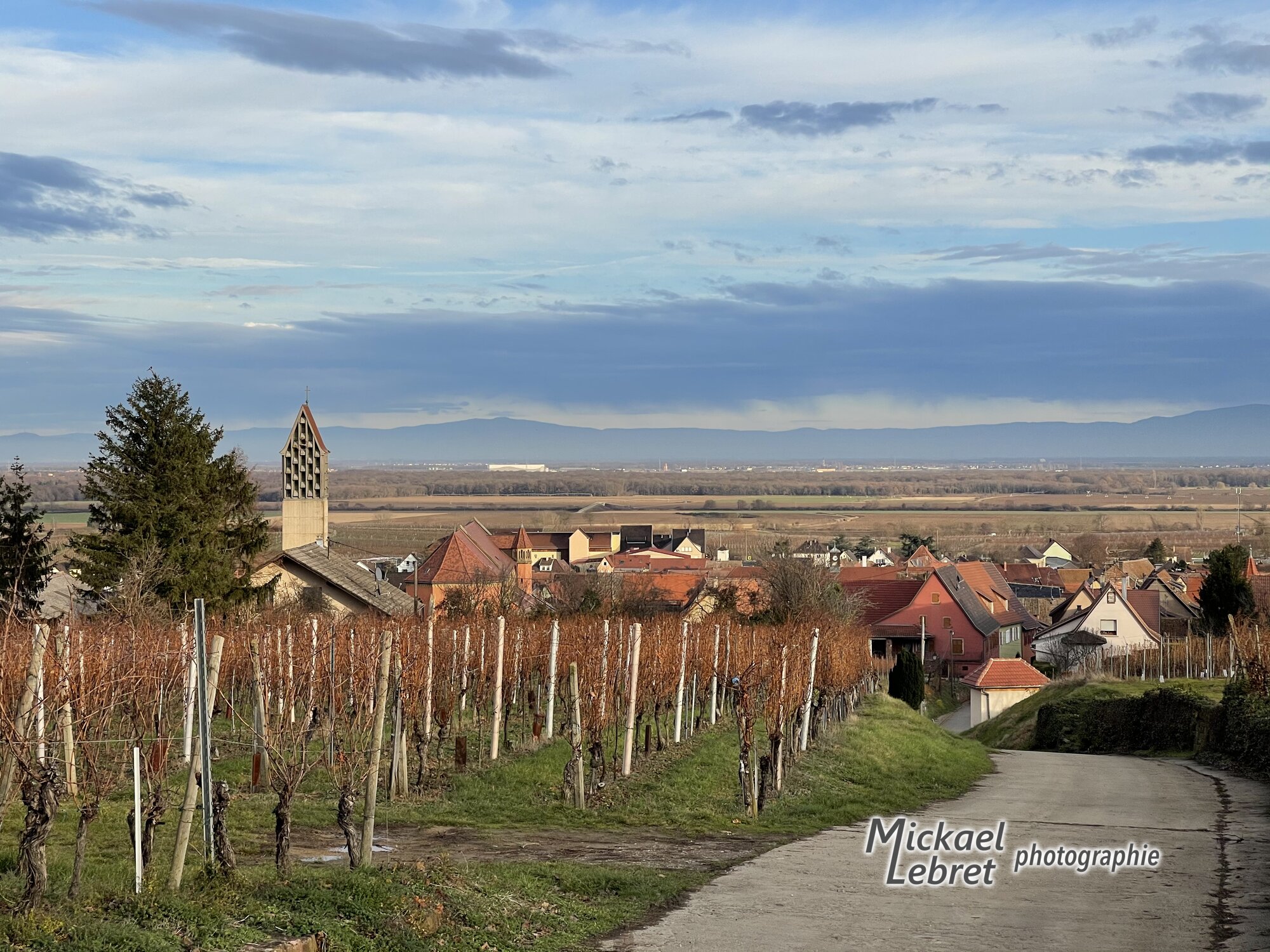 Pfaffenheim et le campanile de béton de l'église Saint-Martin, depuis le chemin des vignes
