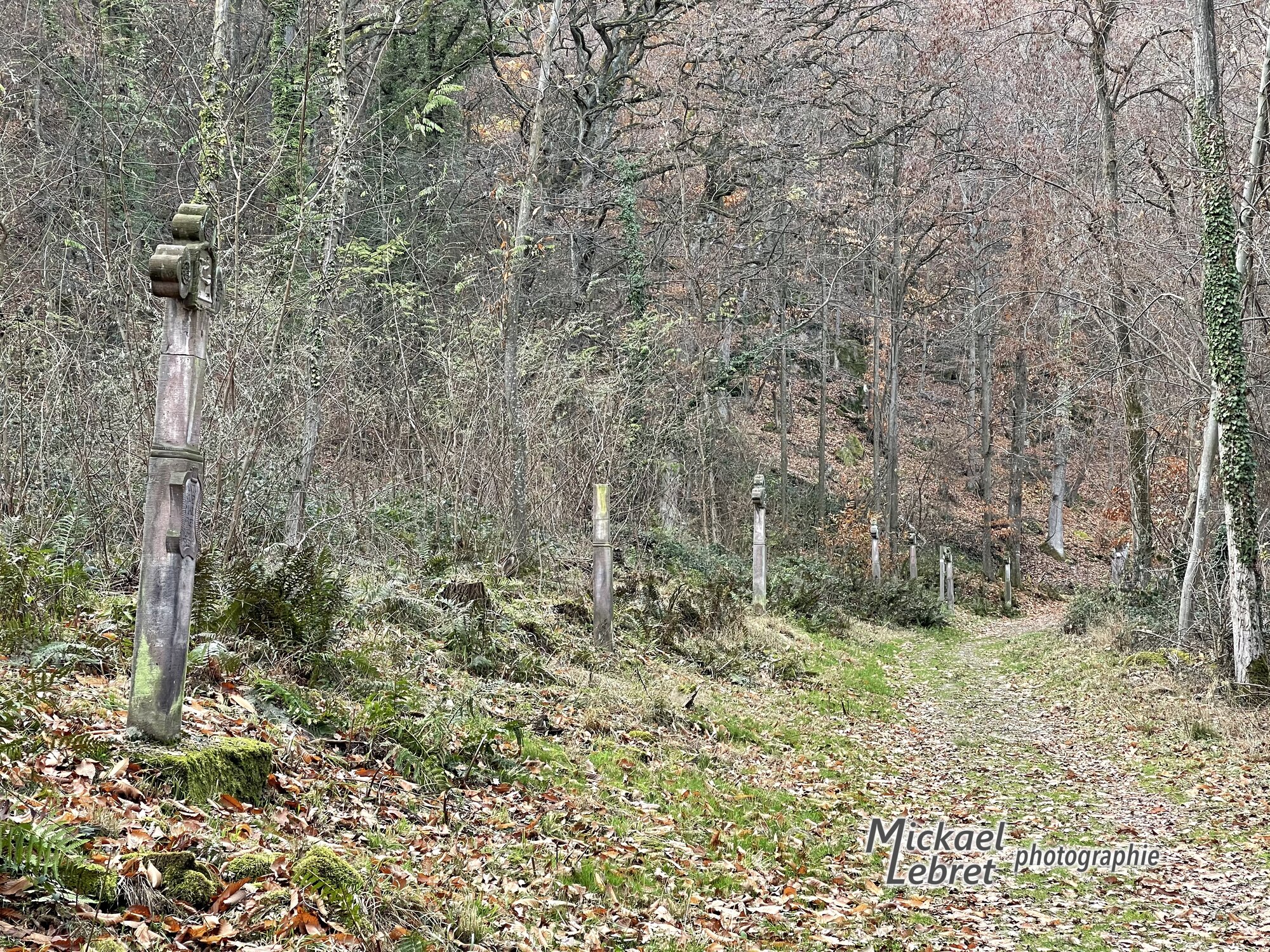 Les stations du chemin de croix de 1811, alignées dans le sous-bois