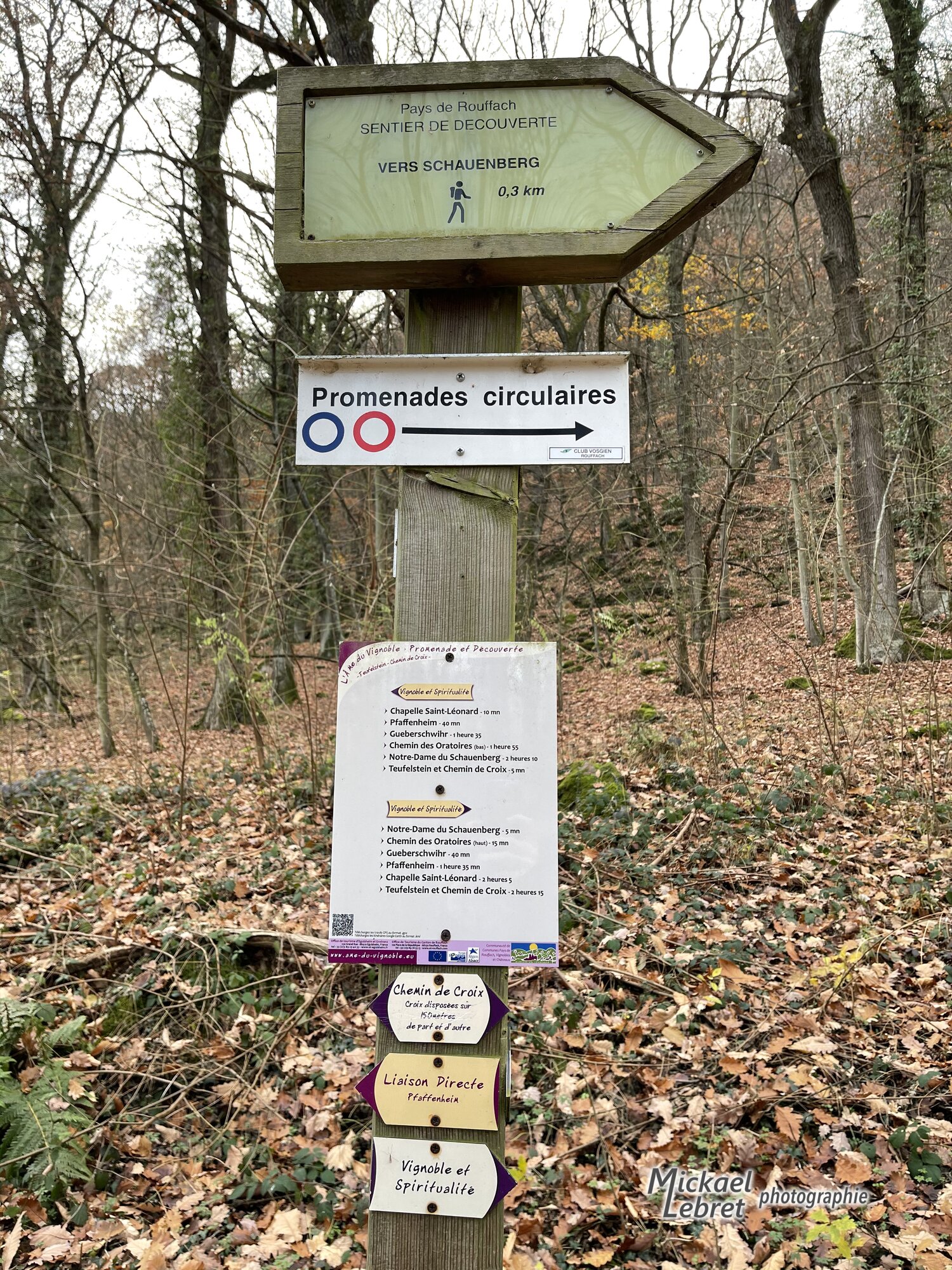 Le poteau de balisage à 300 mètres du Schauenberg, où tous les sentiers se croisent