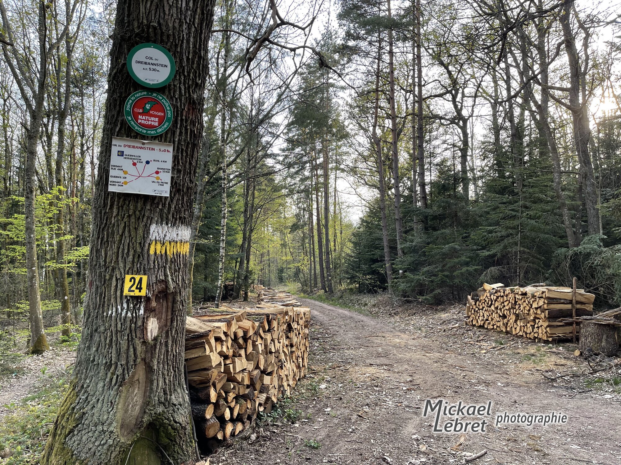 Le panneau du Club Vosgien au col du Dreibannstein, 530 m
