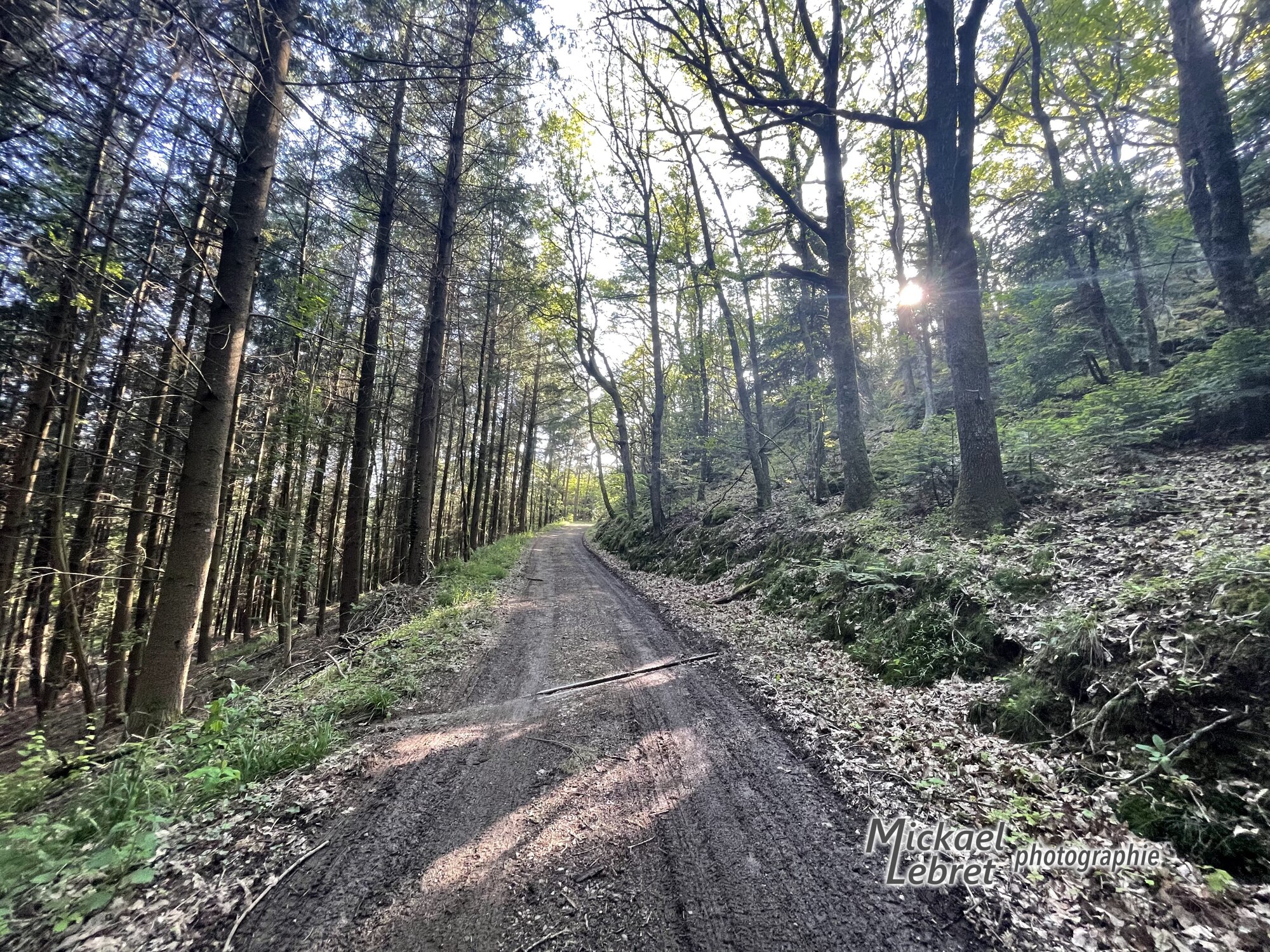 Le soleil rasant dans la montée vers le point haut de la boucle