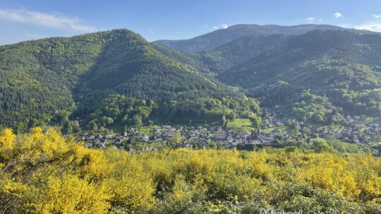 Autour de Lautenbach à VTT, l&rsquo;autre boucle du Florival