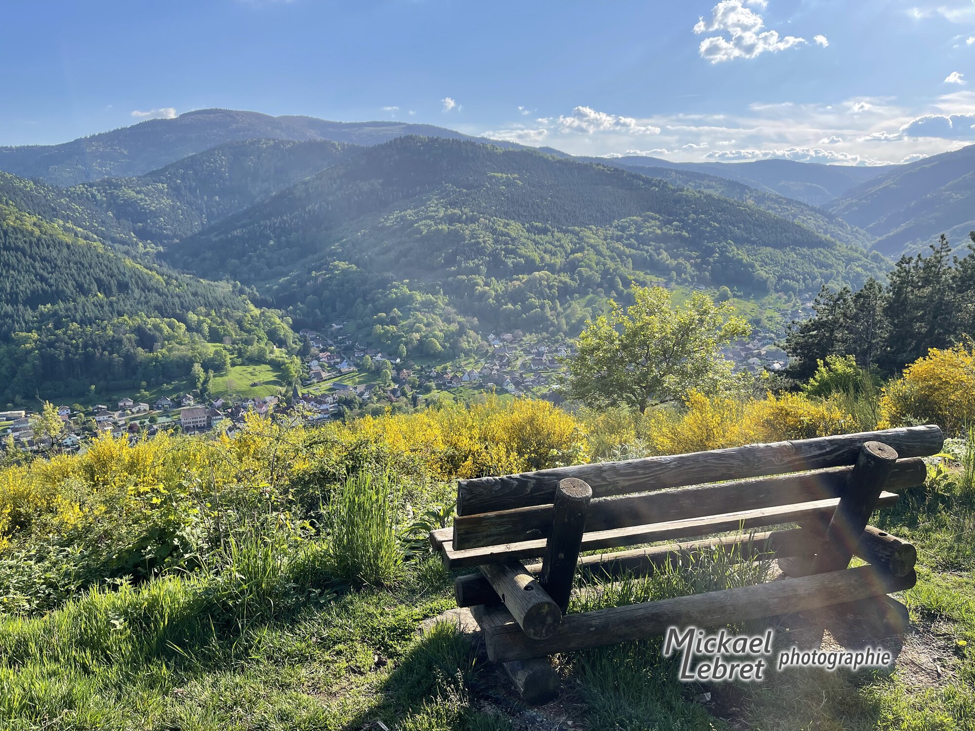 Le banc en rondins face à la haute vallée