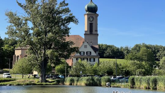 Thierenbach depuis le Gros Chêne, une heure de forêt et une basilique au bout