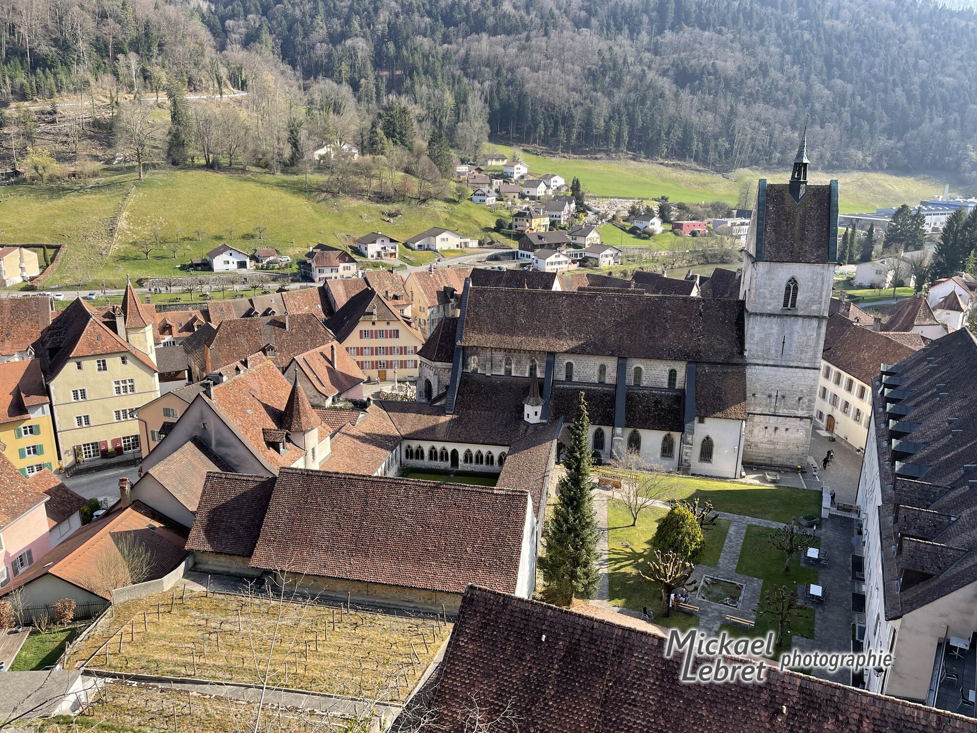 La collégiale et son cloître vus depuis l'ermitage