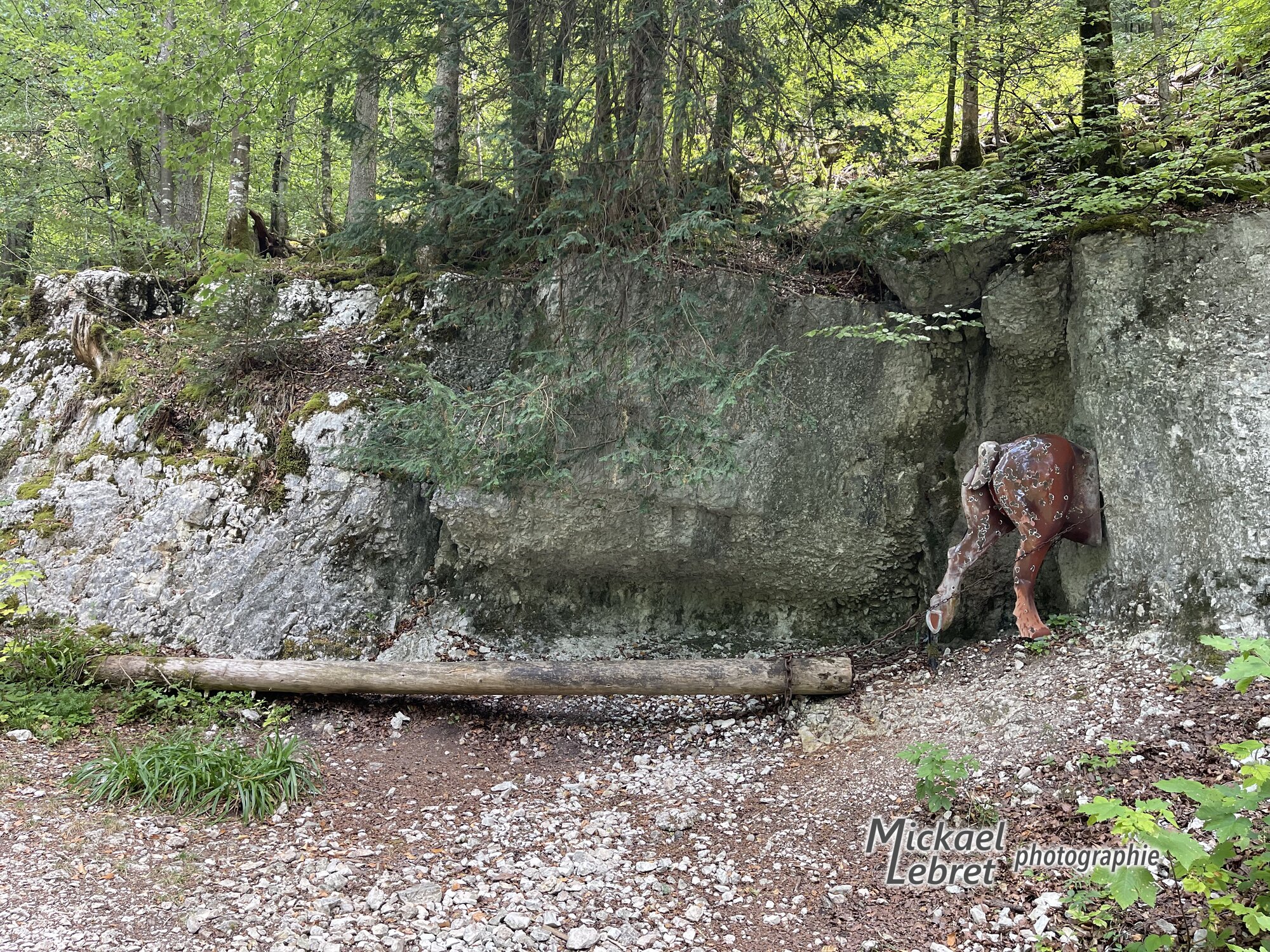 L'arrière-train du cheval de trait qui entre dans la paroi, la chaîne tendue vers le tronc
