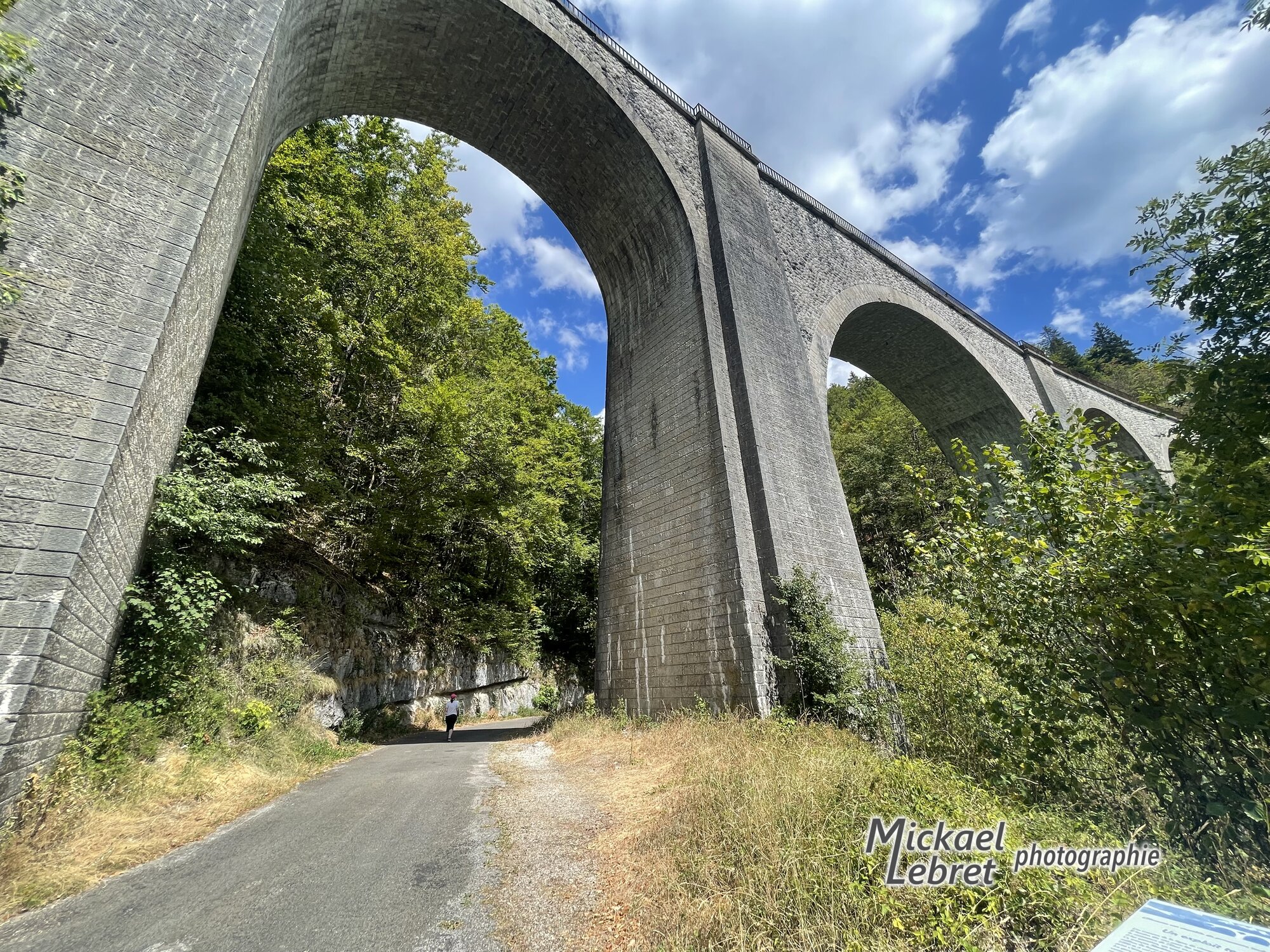 Le viaduc du Saillard en contre-plongée, ses arches au-dessus de la petite route