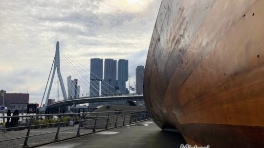 Rotterdam, 4 km à pied dans la ville qui a tout réinventé