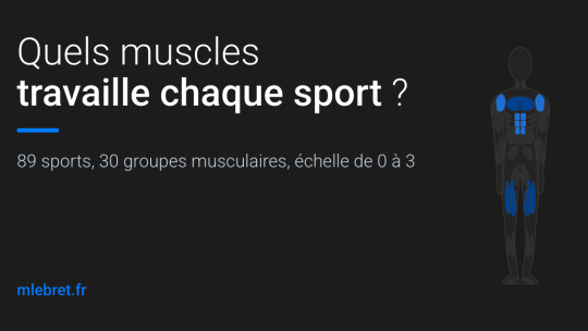 Muscles par sport : j&rsquo;ai cartographié 89 sports et 30 groupes musculaires