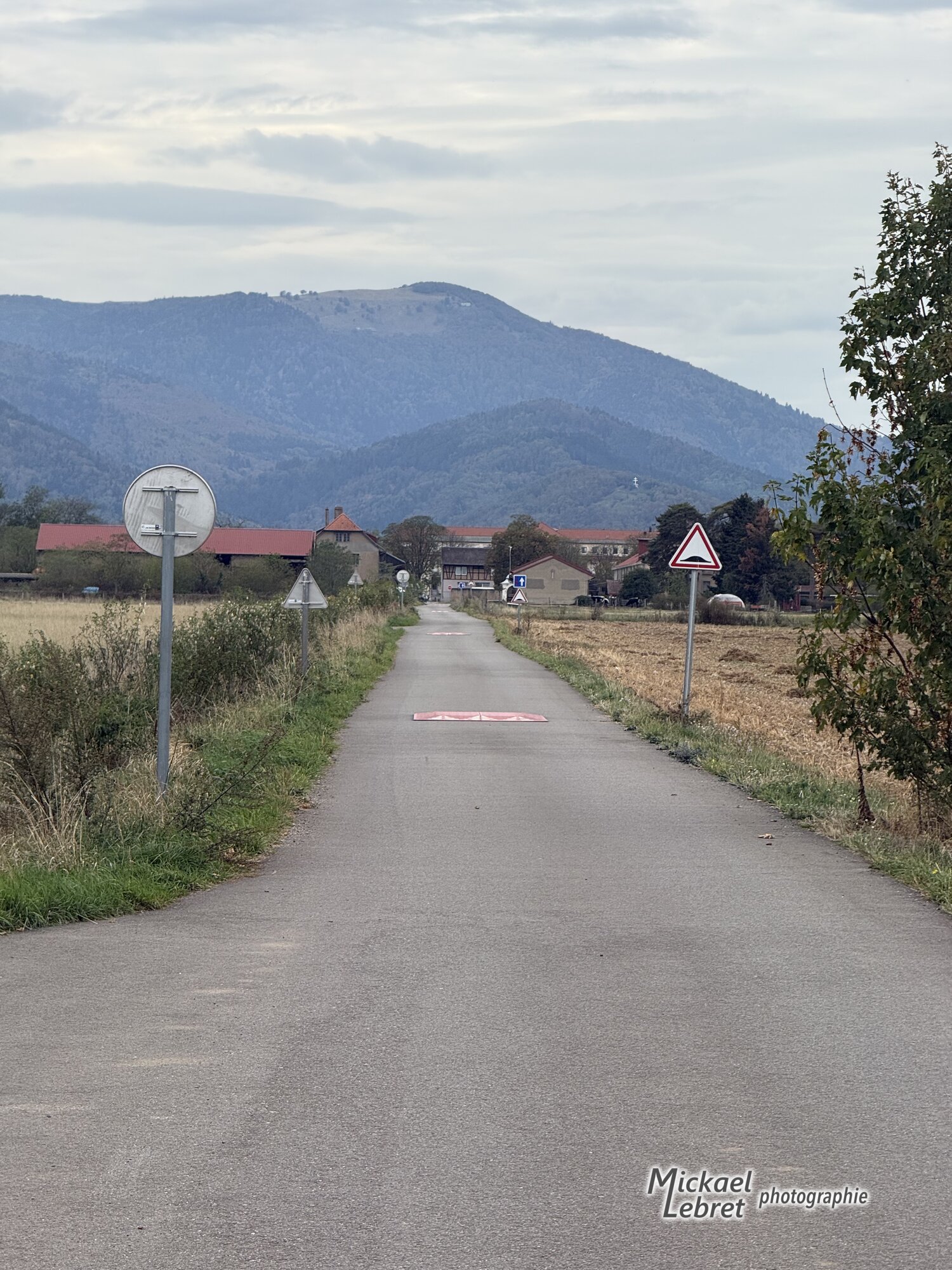 La petite route à dos-d'âne vers les bâtiments du domaine