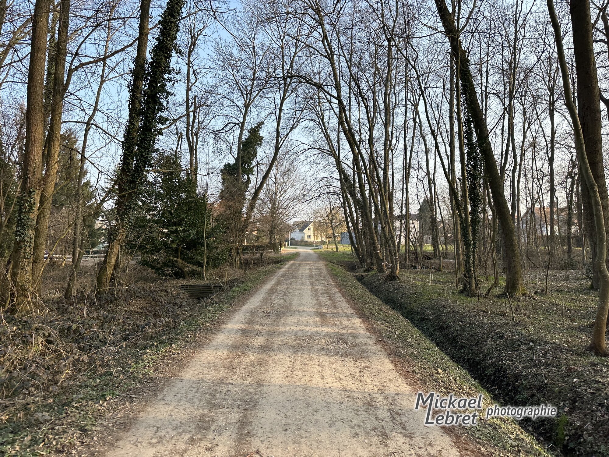 Le chemin du bois, en arrivant à Bertschwiller