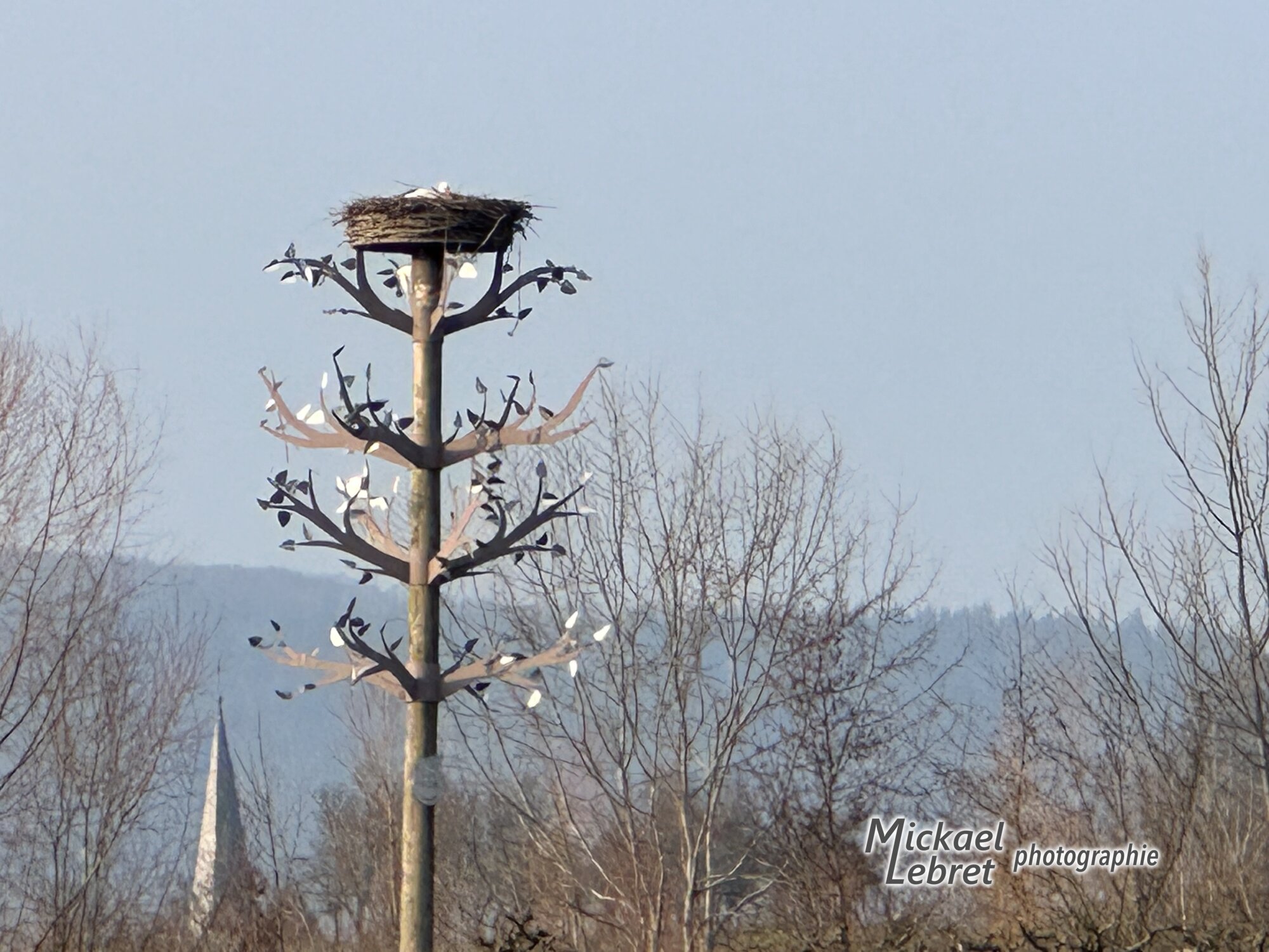 Le nid de cigogne de la sortie de Berrwiller, avec la flèche de Saint-Blaise au loin dans la brume