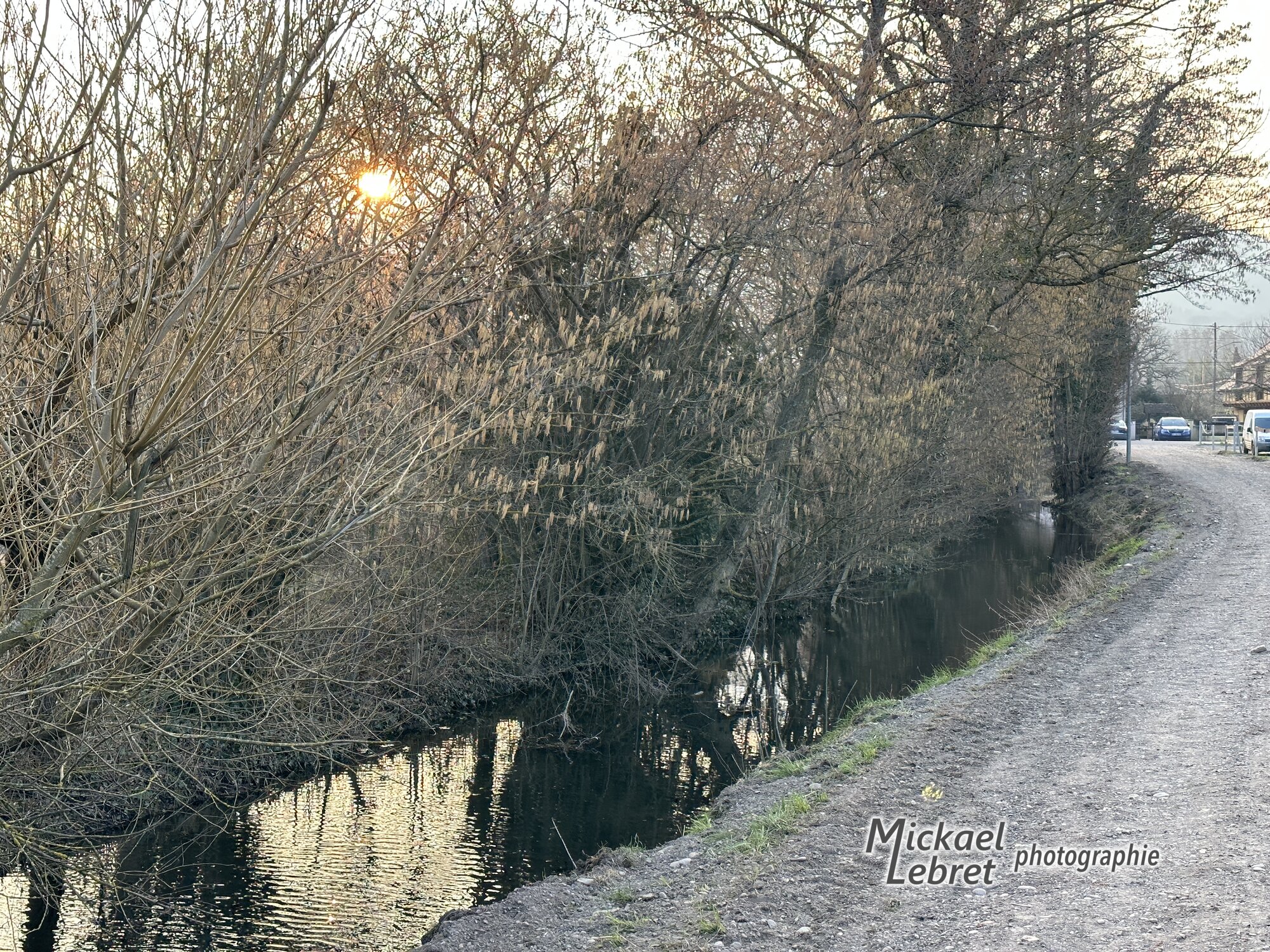 Le Fridolinsbach au soleil bas, le long de la rue du Ruisseau