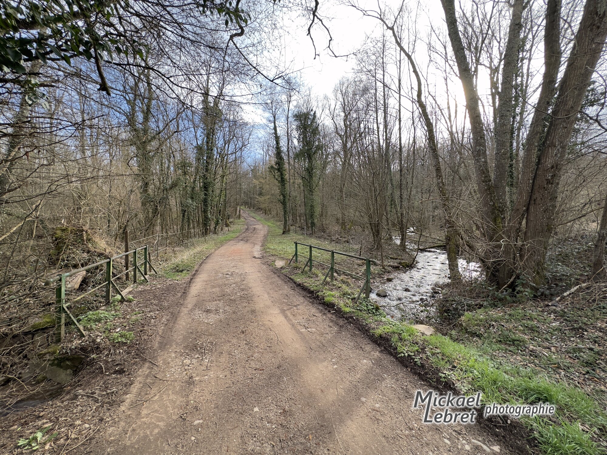 Le chemin de terre sur le pont du Wuenheimerbach, à l'entrée du bois