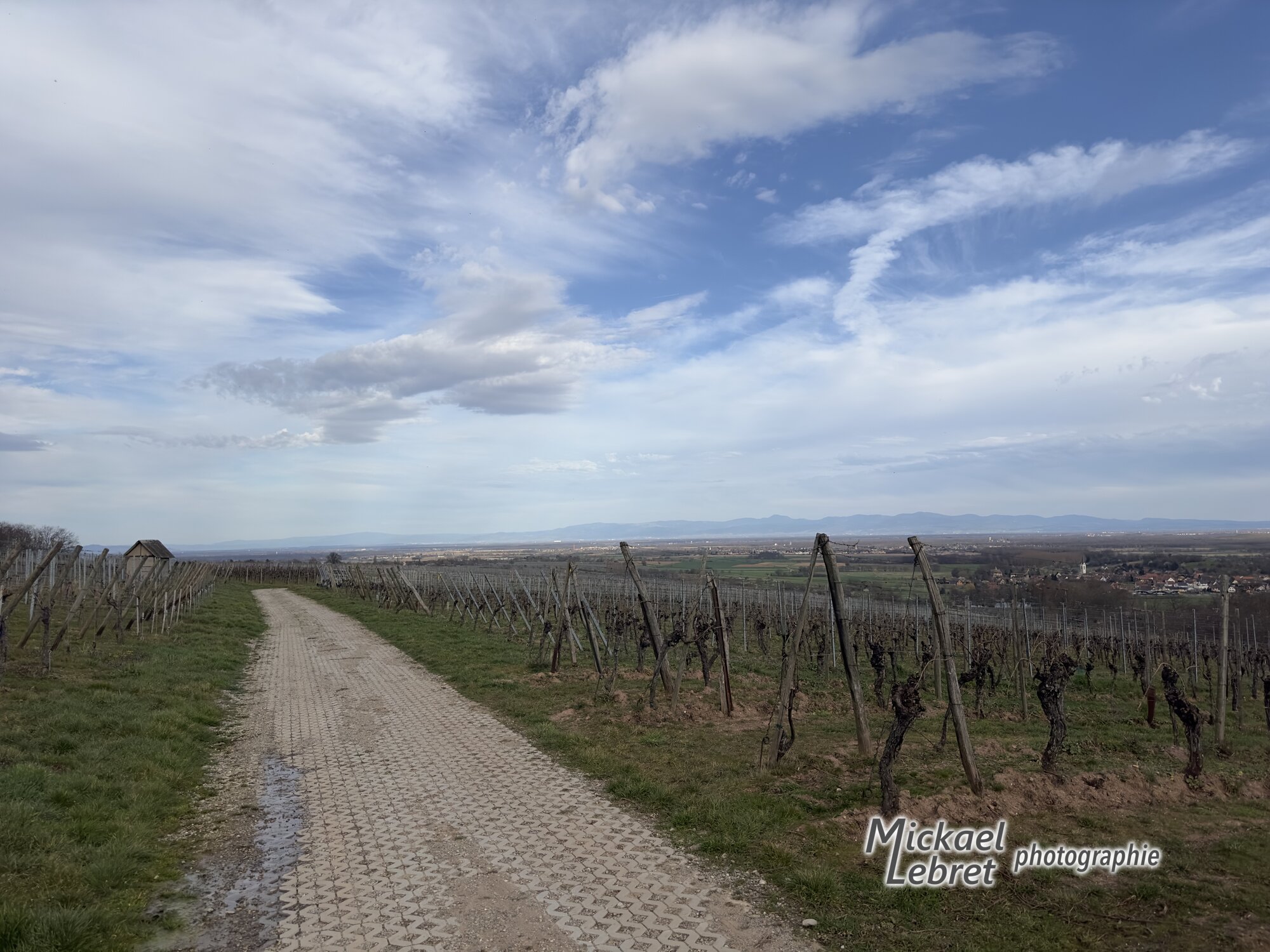 Un chemin de dalles alvéolées entre les vignes, avec un petit abri en bois