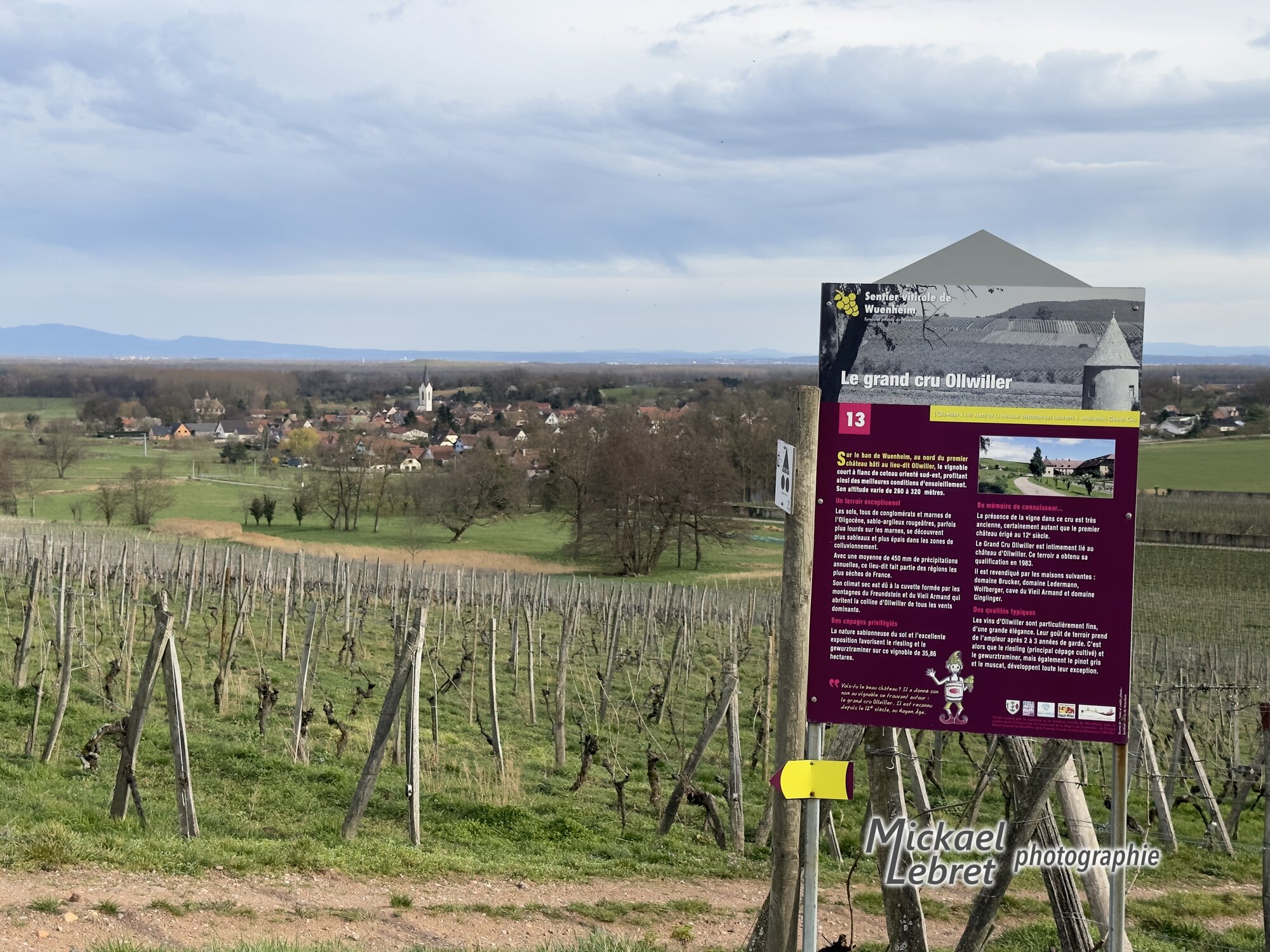 Le panneau n° 13 du sentier viticole, « Le grand cru Ollwiller », avec Hartmannswiller derrière