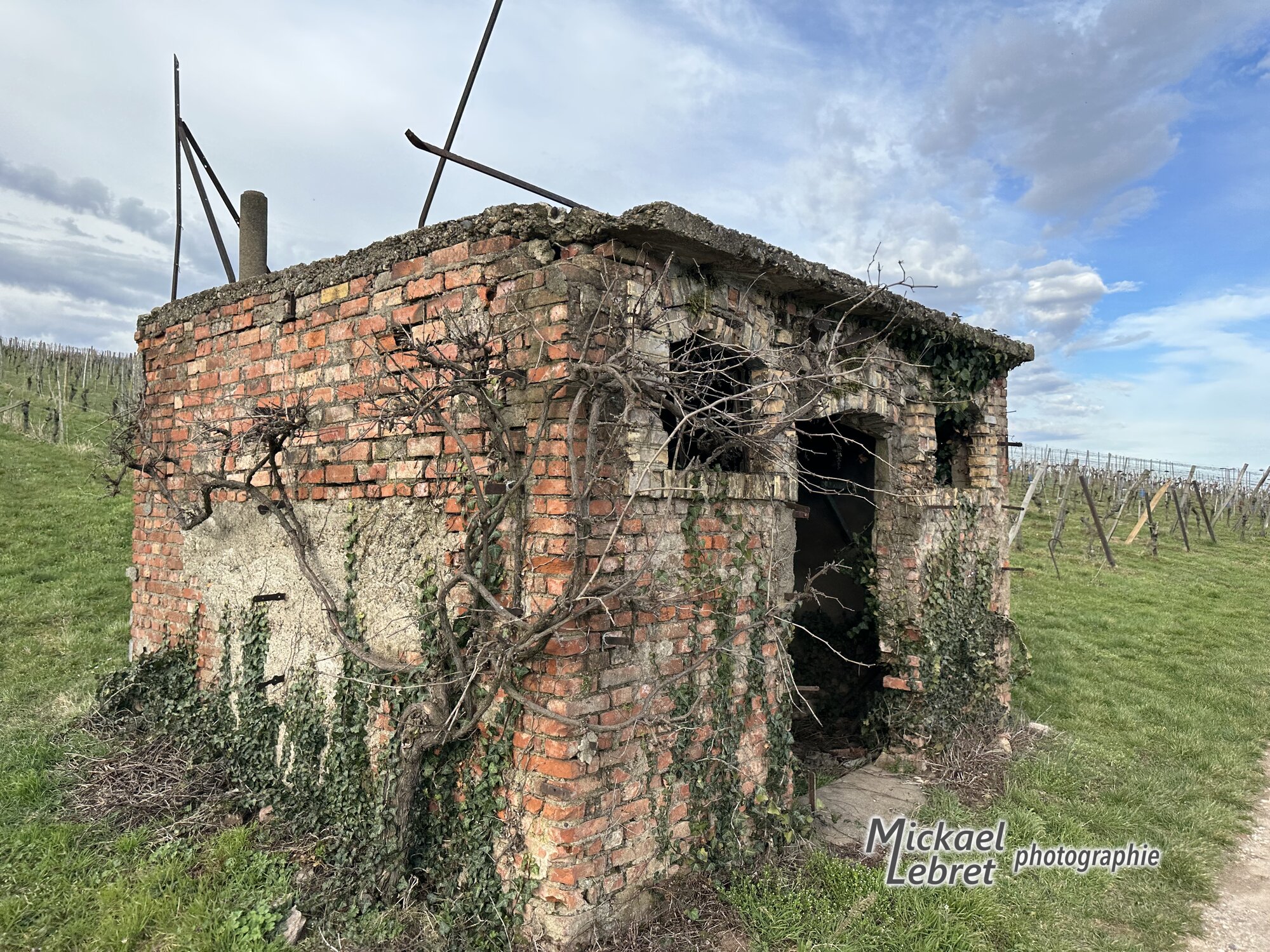 La maisonnette de briques au toit de béton