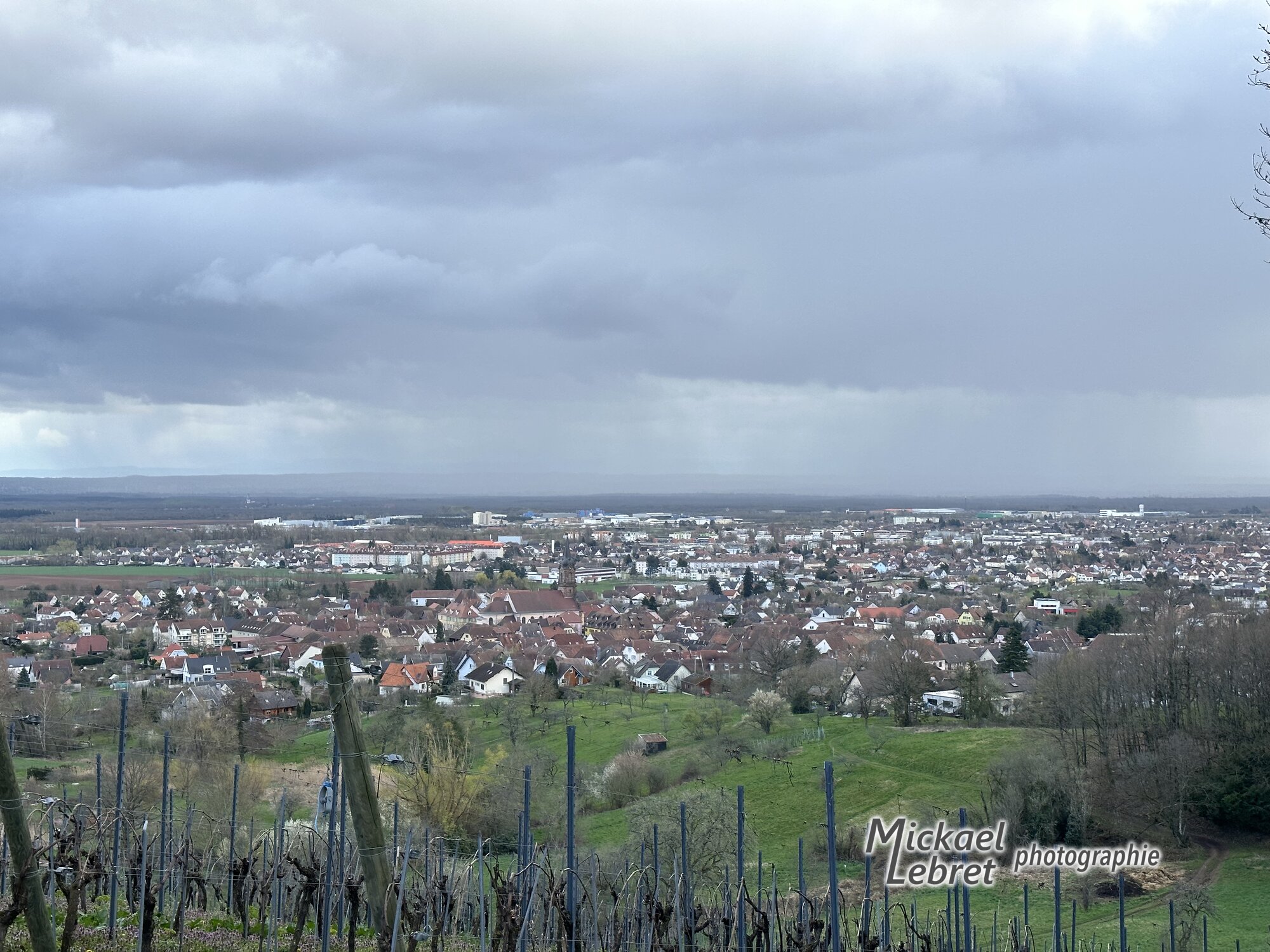 Les piquets de vigne en haut de la montée, Uffholtz et Cernay dans la plaine sous l'averse