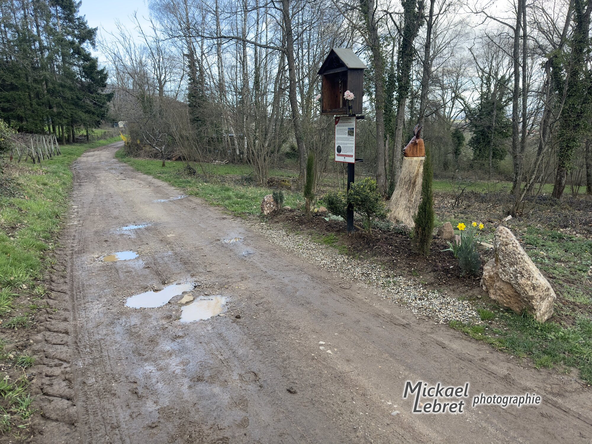 Le calvaire du Nodelberg, son panneau et la tête de vache sculptée, au bord du chemin boueux