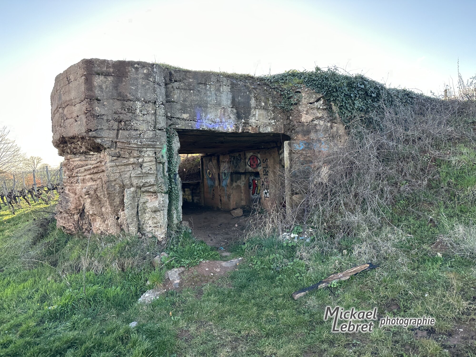 Le blockhaus au bord du vignoble, des graffitis à l'intérieur