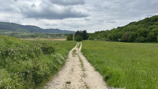 Wintzfelden, une petite boucle dans les prairies de la Vallée Noble