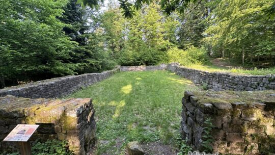Schwartzenthann, les ruines d&rsquo;un couvent dans les bois de Wintzfelden