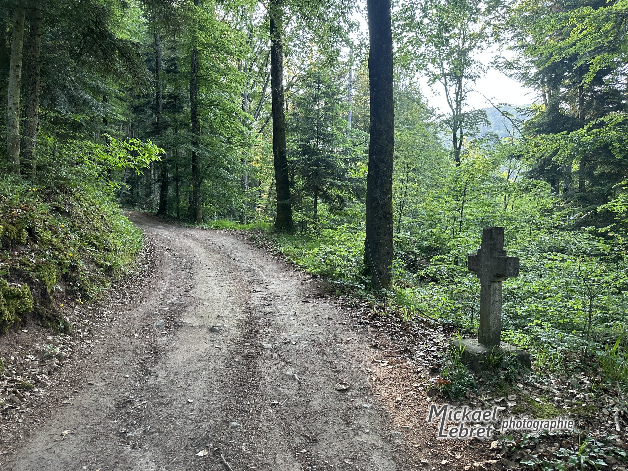 Une croix de pierre au bord du chemin forestier
