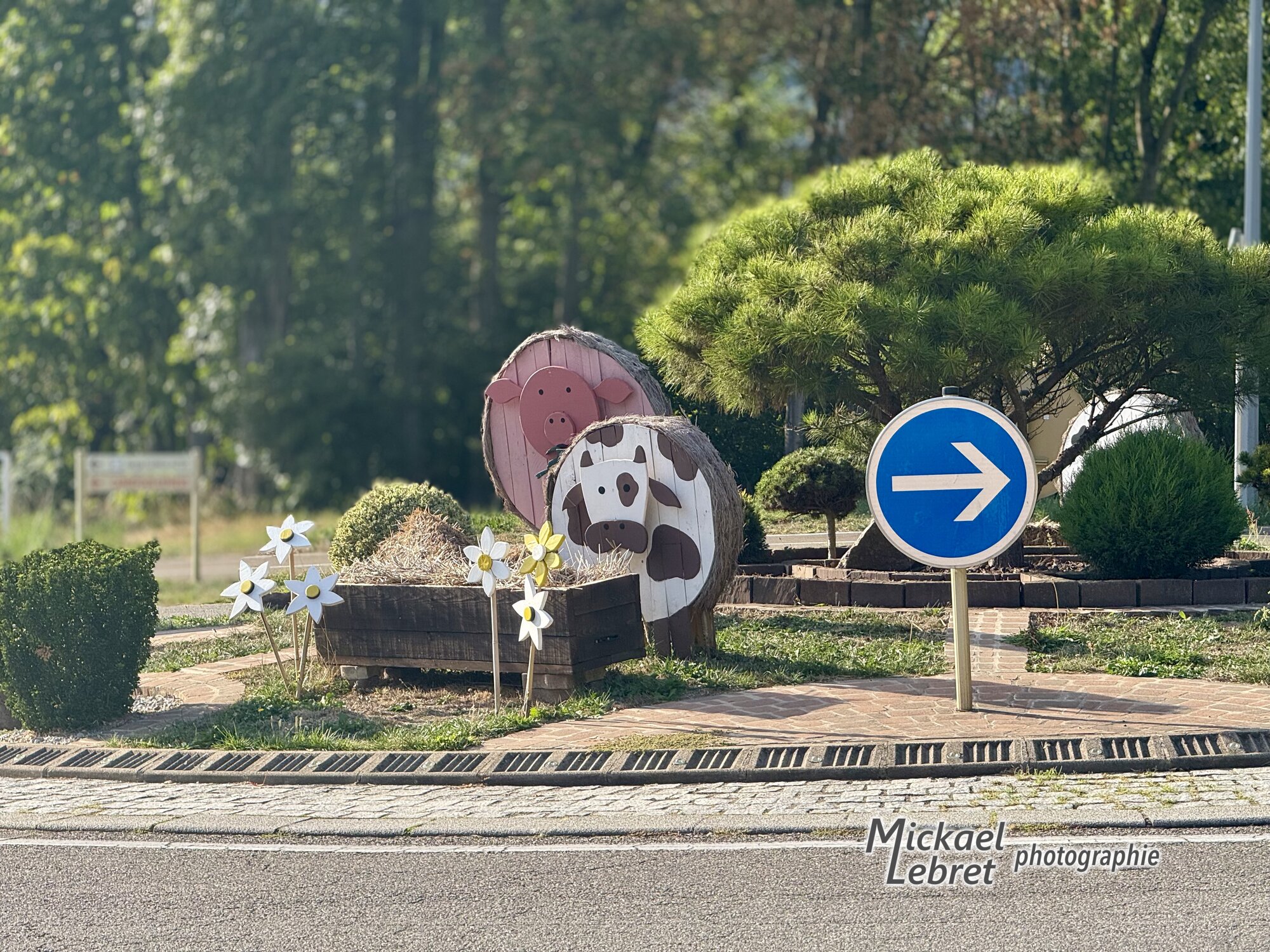 Le rond-point et ses bottes de paille en cochon et en vache
