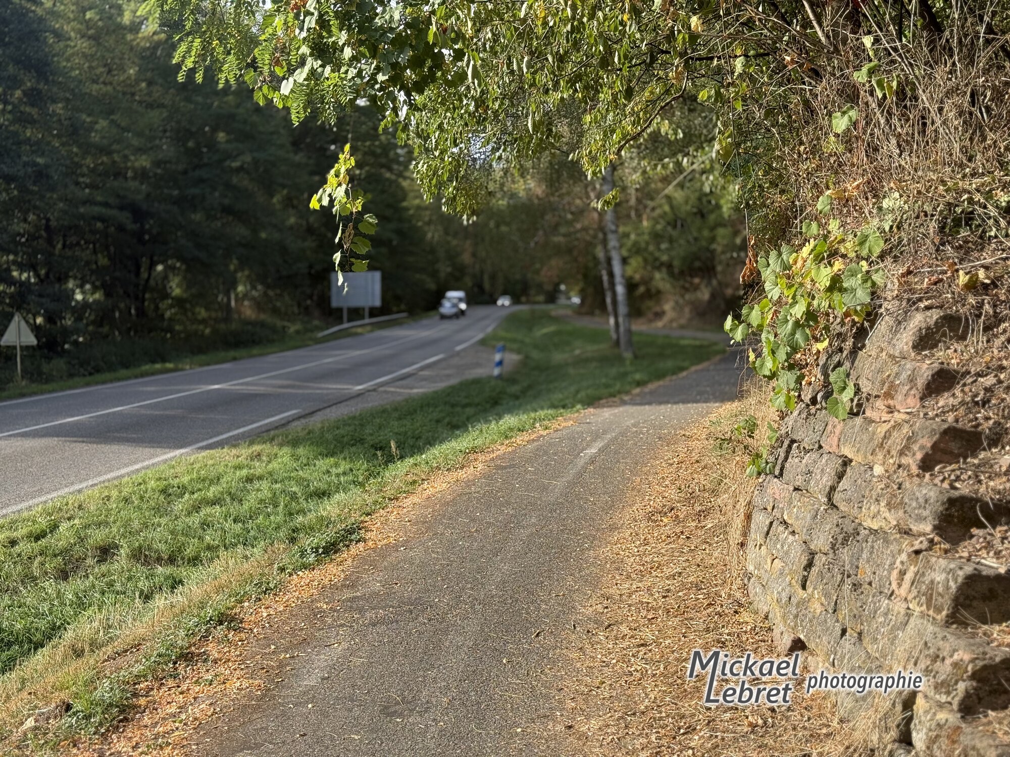 La piste cyclable le long de la grande route