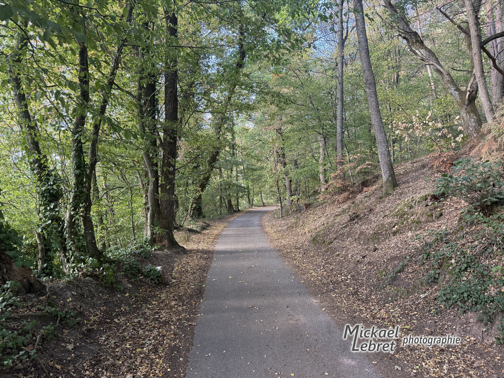 Le chemin en sous-bois vers Schweighouse