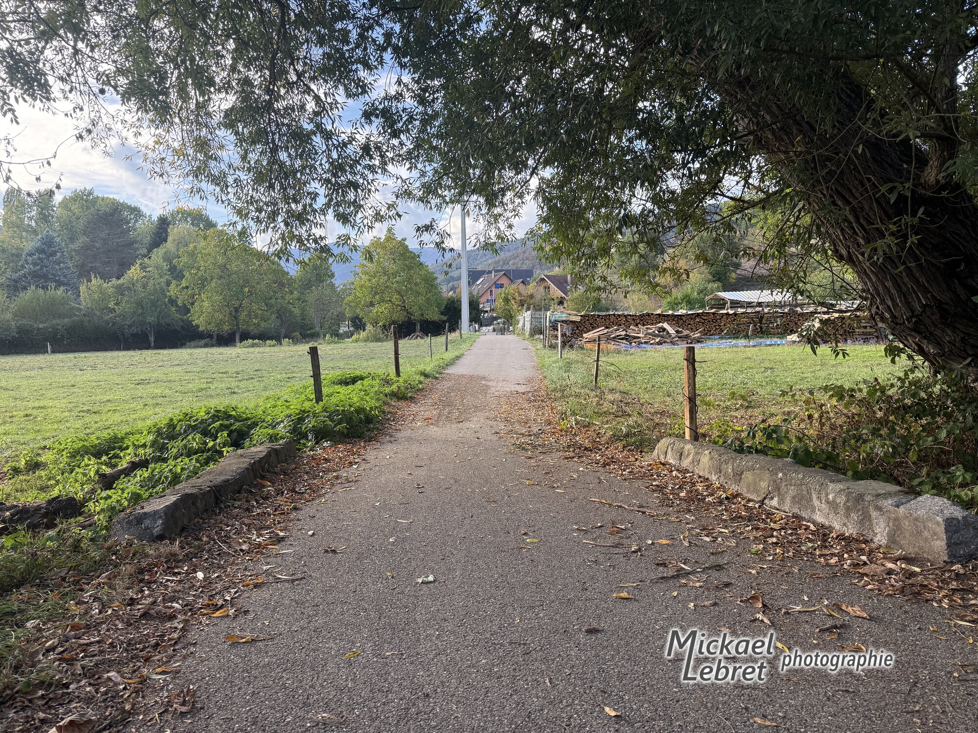 À la lisière, le chemin entre les prés