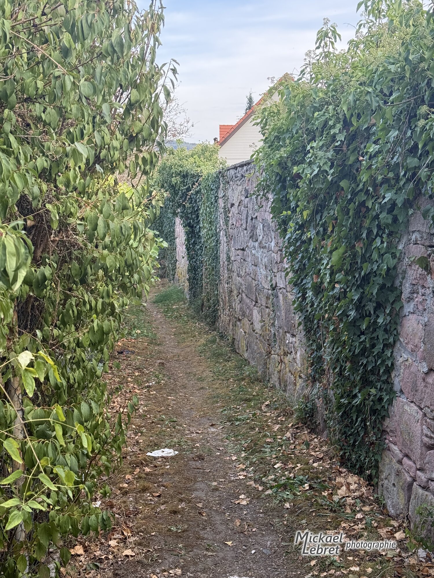 Le petit sentier discret entre le mur de pierre et la végétation