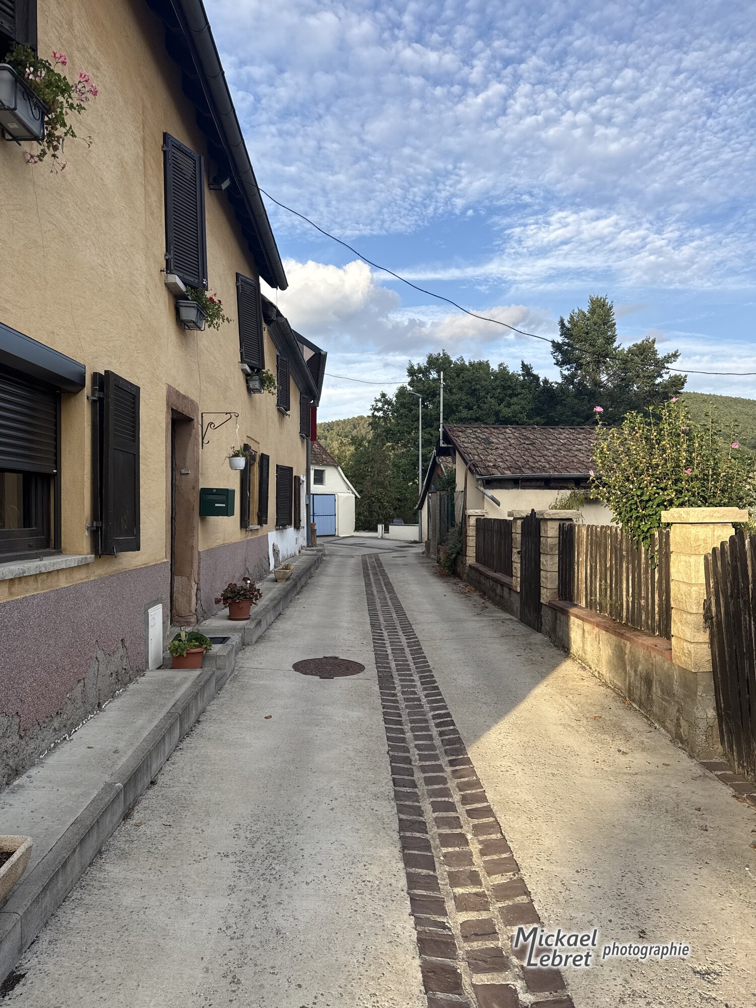 La Rue Saint-Pirmin et sa bande de pavés