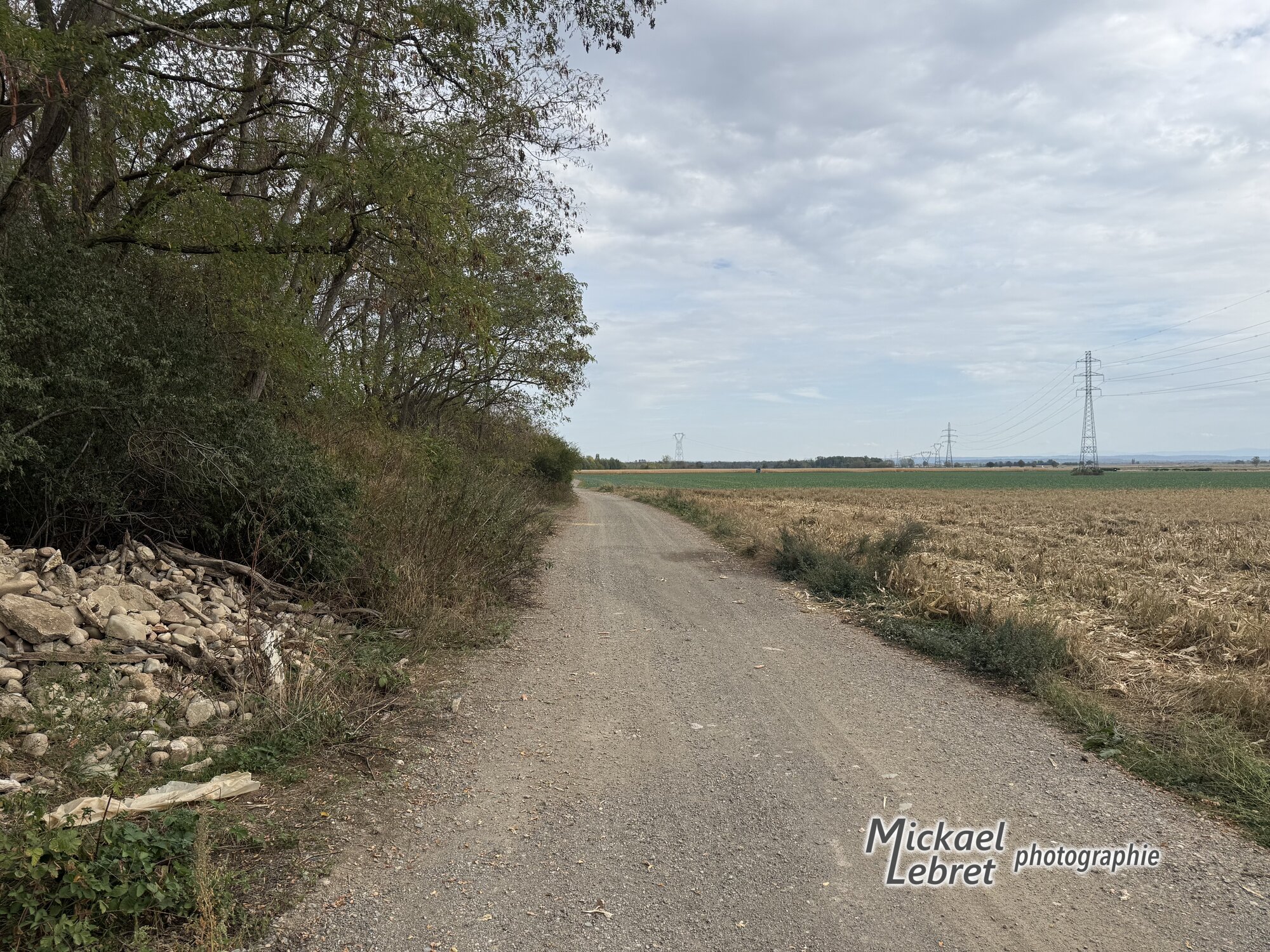 Le chemin agricole, entre un champ et une rangée d'arbres